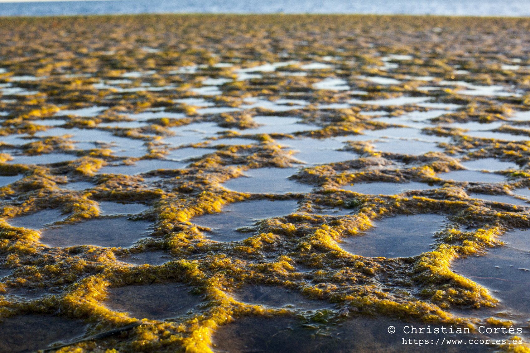Atardecer Cabo Huertas 01